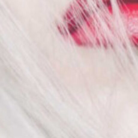 Profile picture of Nueva Pasion