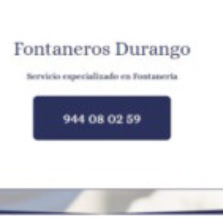 Profile picture of Fontaneros Durango
